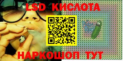 mdpv Бердск