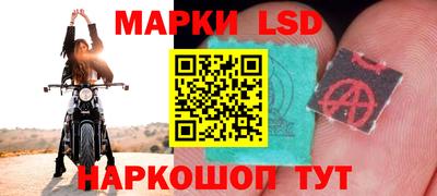mdpv Белореченск