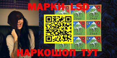 mdpv Бердск