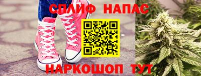 mdpv Белореченск