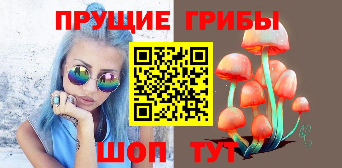 Псилоцибиновые грибы ЛСД Астрахань