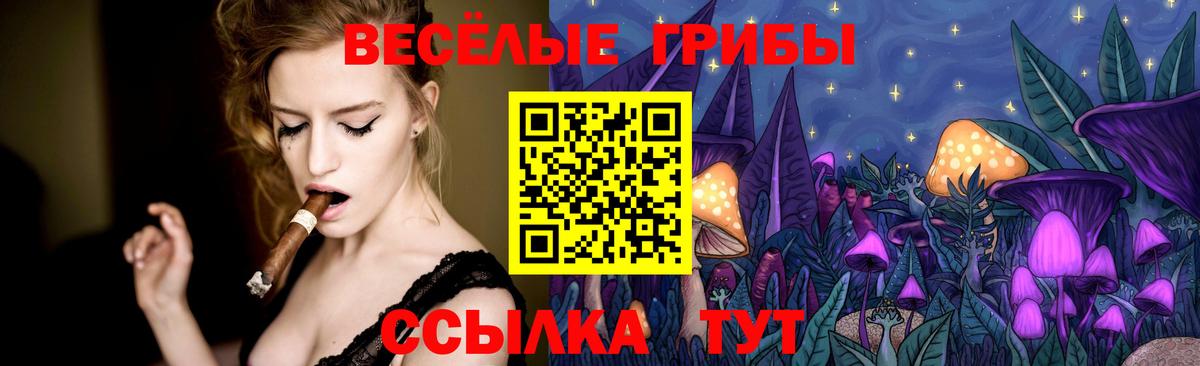Псилоцибиновые грибы Cubensis  Вход с VPN  Галлюциногенные грибы мицелий  Астрахань 
